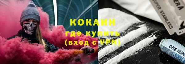 сатива Елизово