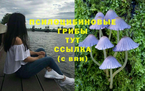 наркотики Гусь-Хрустальный