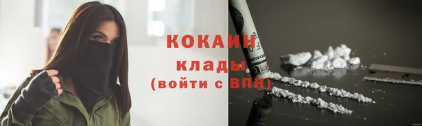 мяу мяу мука Гусев