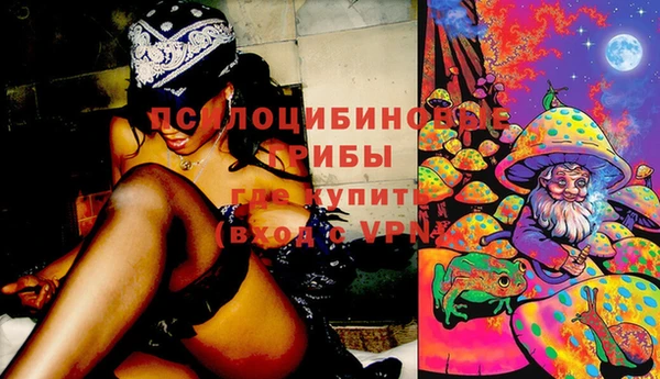 сатива Елизово